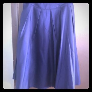 NWT blue skirt